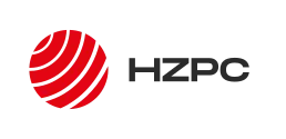 hzpc